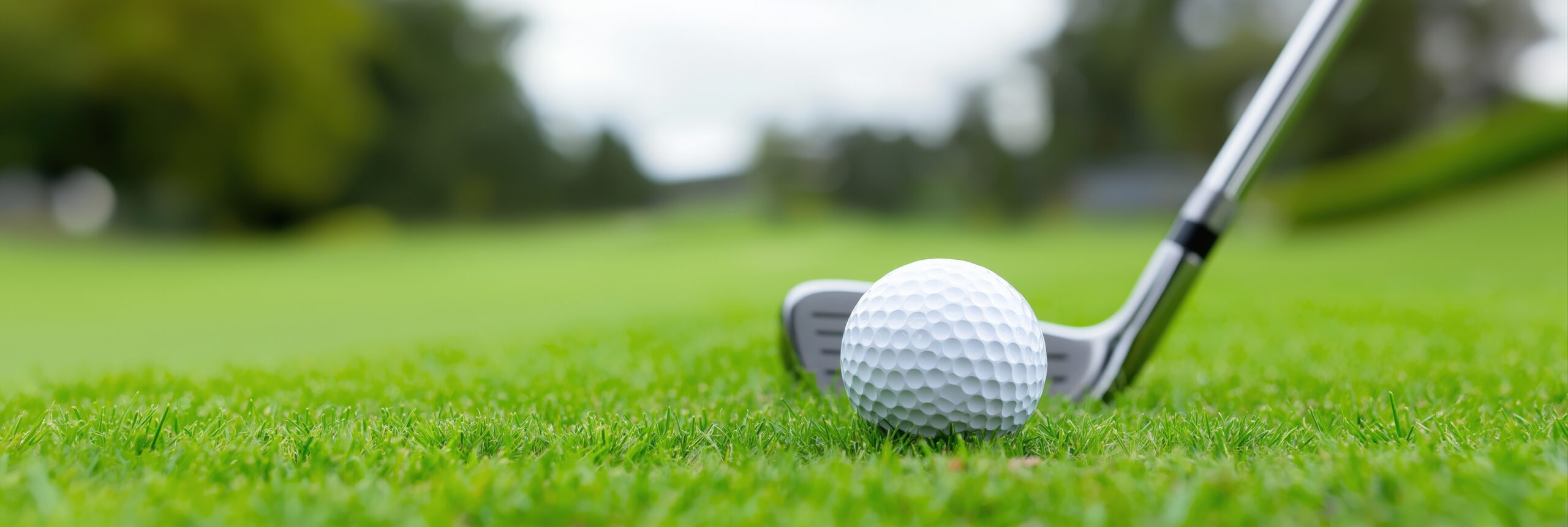 Vue du parcours du Golf de l’ASPTT Grand Lyon